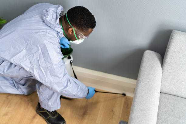 Best Pest Prevention Services  in Wales, WI